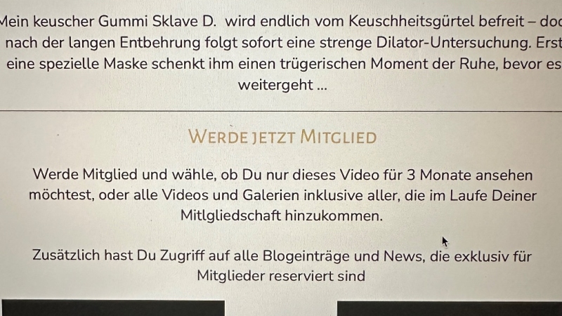 Hinweis zur Zahlungsart im Video- und Galerie-Shop